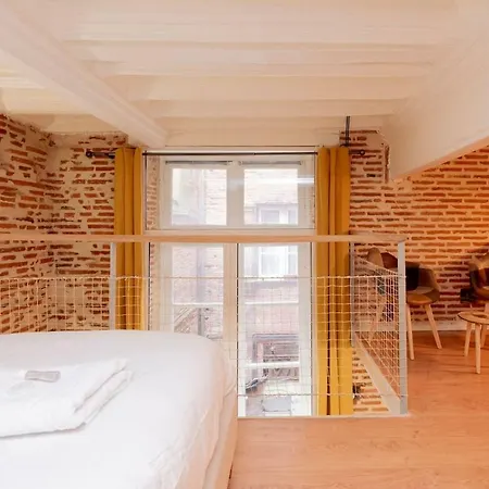Le Capitoul - D'exception Hypercentre De Appartement Toulouse